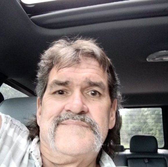 Meet your Posher, Harley - Picture 1 of 1